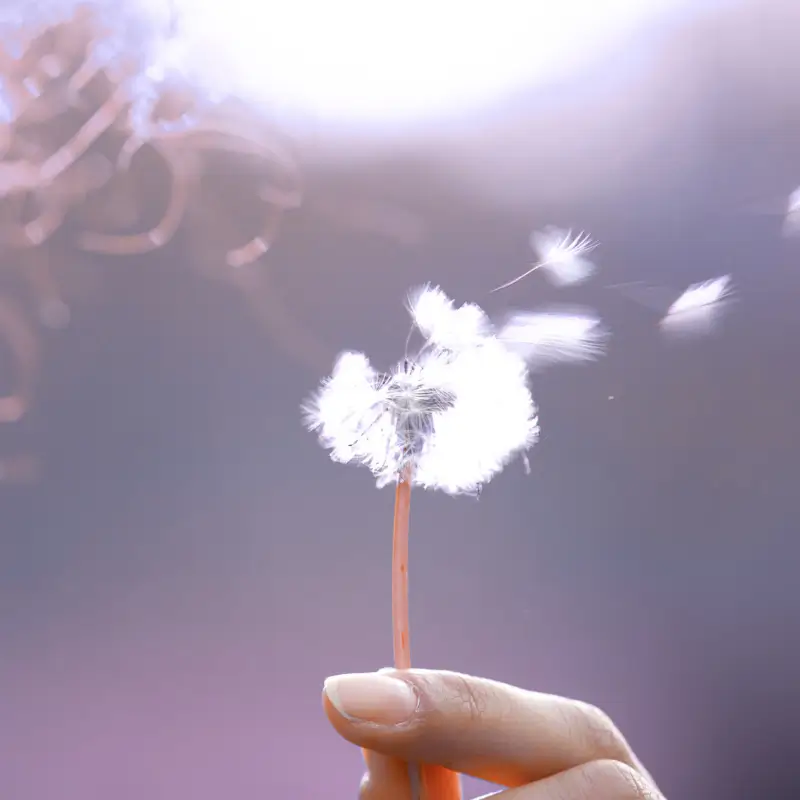 La Méthode Total Reset, pour qui ?